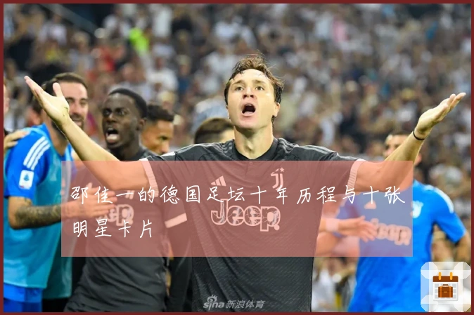 邵佳一的德国足坛十年历程与十张明星卡片
