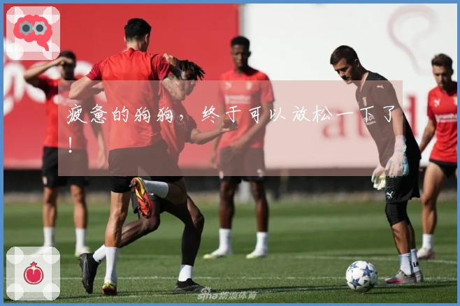 疲惫的狗狗，终于可以放松一下了！