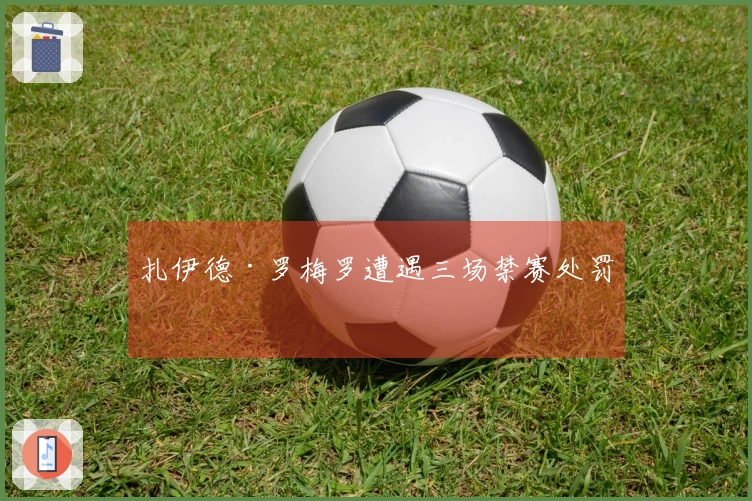 扎伊德·罗梅罗遭遇三场禁赛处罚